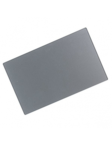 Trackpad MacBook Retina 12 Gris sidéral (A1534) Début 2015