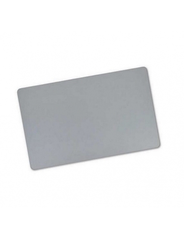 Trackpad MacBook Pro 16" Gris sidéral (A2141) 2019