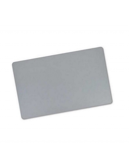 Trackpad MacBook Pro 16" Gris sidéral (A2141) 2019