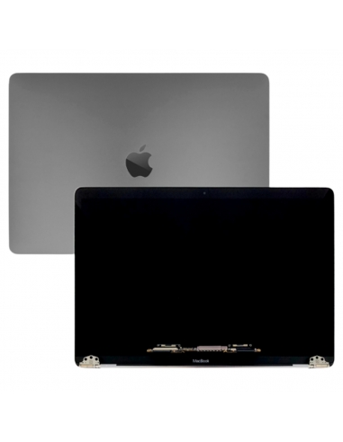 Bildschirm für MacBook Pro 13 (A1989 - A2289 - A2159 - A2251) 2018 - 2020 (Space Grau)
