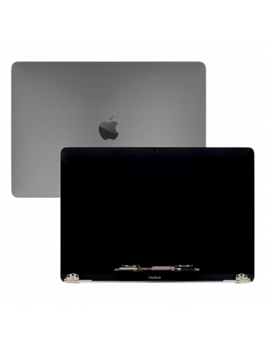 Ecran pour MacBook Pro 15" (A1990) 2018 - 2019 (Gris sidéral)