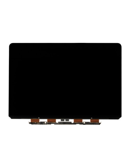 Dalle LCD pour MacBook Pro 13" A1502 (2013-2014)