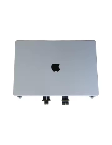 Écran pour MacBook Pro 14" Argent A2442 A2779 A2918