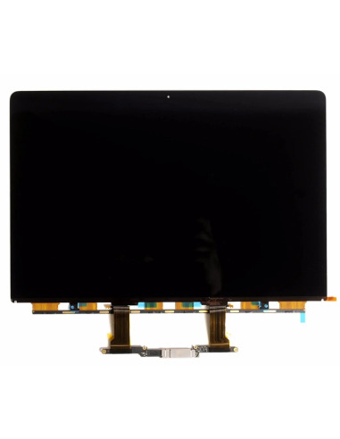 Dalle LCD pour MacBook Pro 15" A1990 (2018)