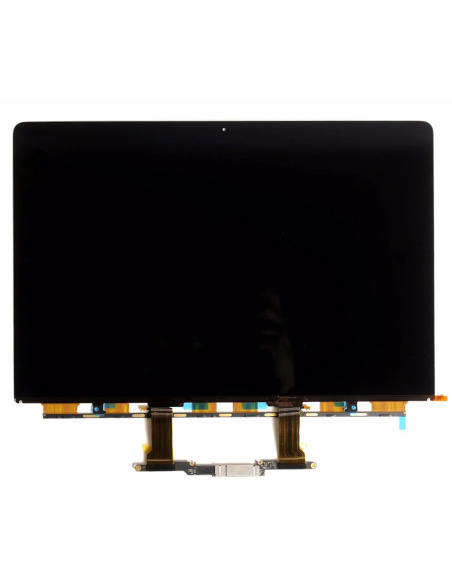 Dalle LCD pour MacBook Pro 16" A2141 (2019)