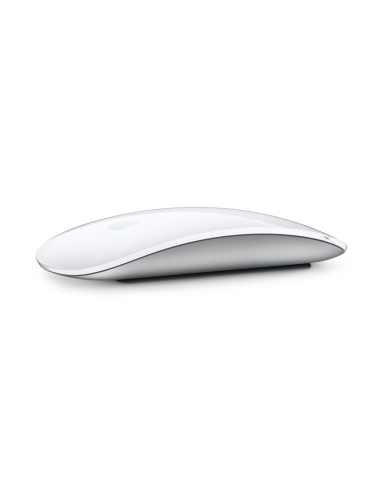 copy of Souris Apple Magic Mouse 1