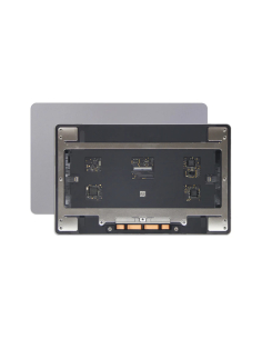 Trackpad grigio originale Siderale per MacBook Pro 16 '' 2021 (A2485)