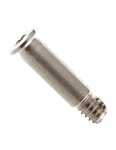Vis Boîtier Pentalobe pour MacBook Pro 16" (A3403-A3186) 2024 (Argent)