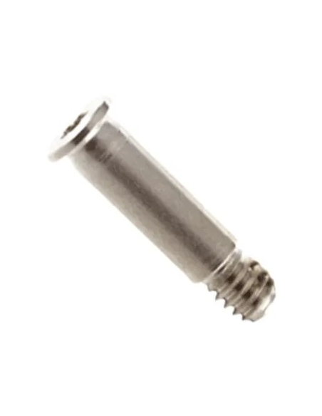 Vis Boîtier Pentalobe pour MacBook Pro 16" (A3403-A3186) 2024 (Argent)