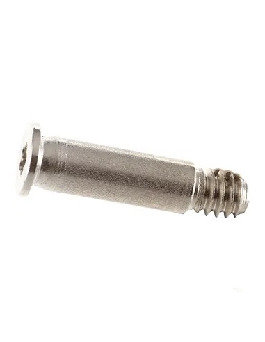 Vis Boîtier Pentalobe pour MacBook Pro 14" (A3401-A3185) 2024 (Argent)
