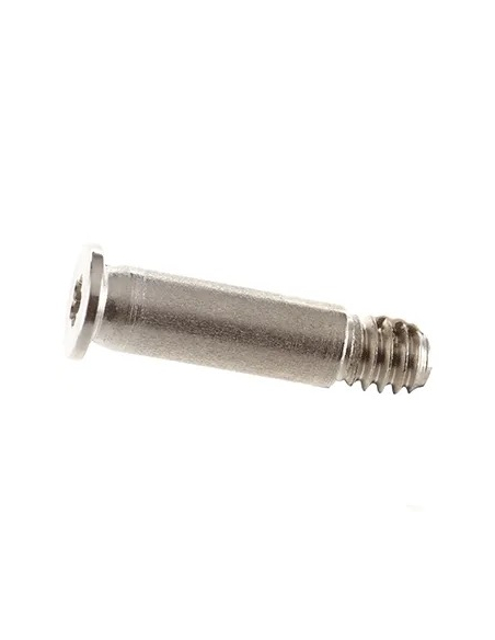 Vis Boîtier Pentalobe pour MacBook Pro 14" (A3401-A3185) 2024 (Argent)