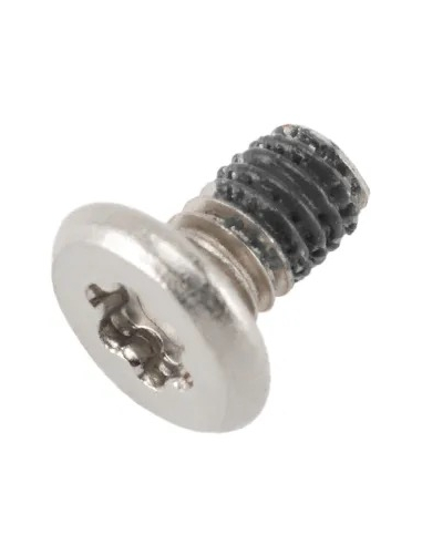 Vis Charnières Écran (Torx Plus 8IP) pour MacBook Pro 14" (A3401-A3185) 2024 (Argent)