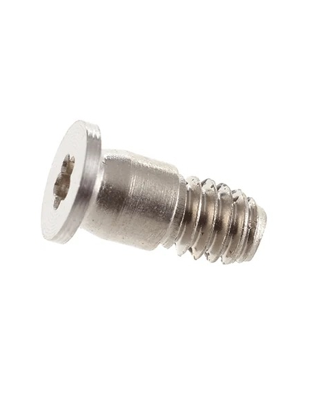 Vis Boîtier Pentalobe pour MacBook Pro 14" (A3434) 2025 (Argent)
