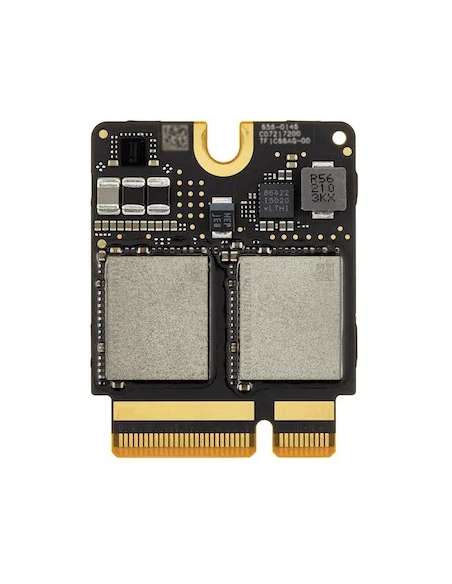 Módulos SSD (almacenamiento flash) Mac Studio (2022) — 2 TB