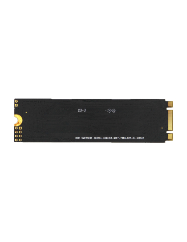 SSD M.2 NVMe 2280 256 Go – 3