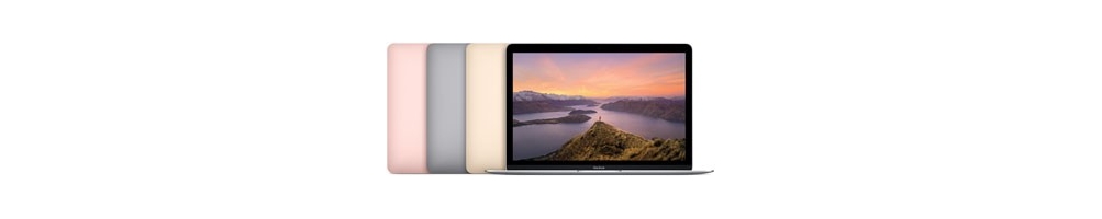 MacBook (Retina, 12 pouces, Début 2016)